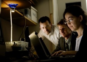 I Professori Jeffrey Carruthers, Thomas Little e Hatice Altug (da sinistra) usano un ricetrasmettitore a LED per spedire messaggi senza fili tra computer portatili.